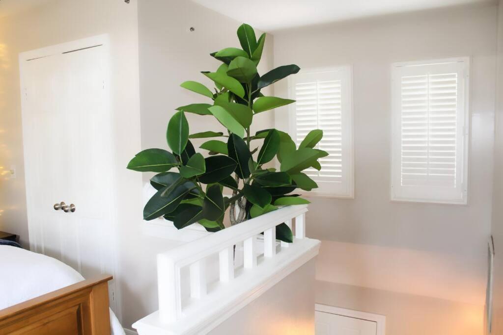Cozy French Style Villa- 3 Bed-Casino-Pools-Jacuzzi Norwich Eksteriør bilde
